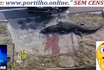 👉📢🚧🦎💥🚨🚒🚑VÍDEO: Mulher de 41 anos é devorada por crocodilo; assista