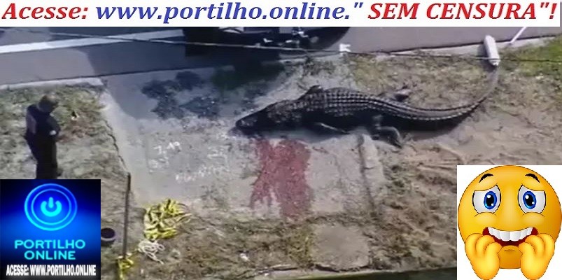 👉📢🚧🦎💥🚨🚒🚑VÍDEO: Mulher de 41 anos é devorada por crocodilo; assista