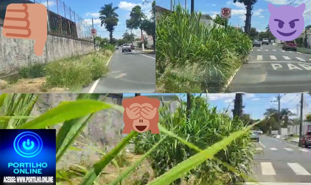 👉🗡📢👎🧐✍🚜📏📐📌✂OLHA AÍ A SITUAÇÃO DA FALTA DE LIMPEZA URBANA ENTORNO DA ESCOLA NELY AMARAL!!!