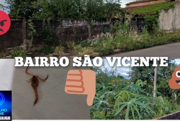 💩👎🐍🕷🐸🐀🦂😡😠🤬LOTE ABANDONADO NO BAIRRO SÃO VICENTE.