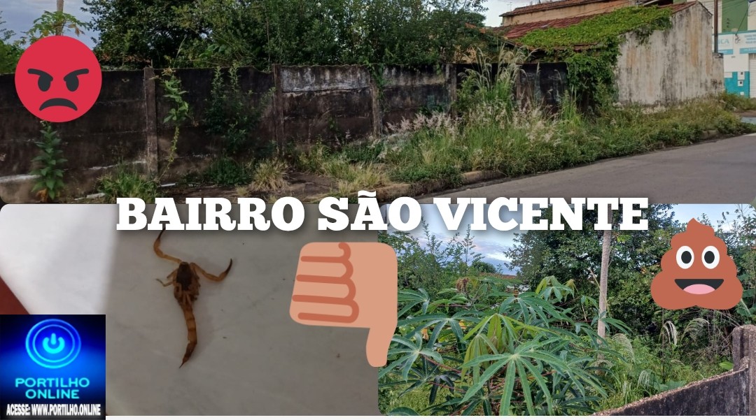 💩👎🐍🕷🐸🐀🦂😡😠🤬LOTE ABANDONADO NO BAIRRO SÃO VICENTE.