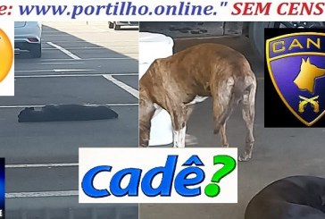 👉📢🦊🐼🐶🐩🐈🐕ESTACIONAMENTO DE CÃES “MART’ MINAS”!!