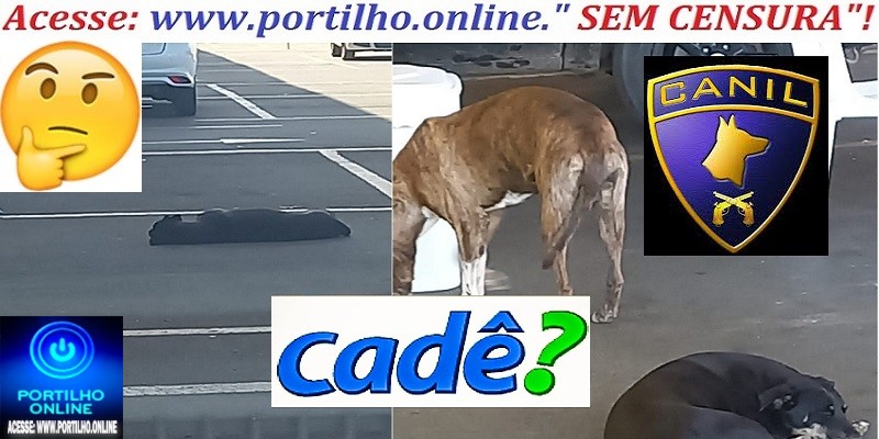 👉📢🦊🐼🐶🐩🐈🐕ESTACIONAMENTO DE CÃES “MART’ MINAS”!!