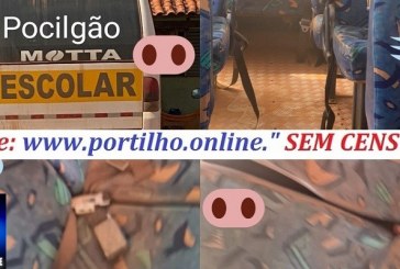 👉📢😱🚍🚘🚖👄🤳✍👁ÔNIBUS 🚍 🚌 ESCOLAR ” POCILGA OU CHIQUEIRO”?!?!