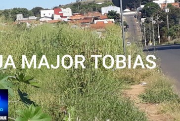 📢 RUA MAJOR TOBIAS…👊😱🤬🤢💩🤮🚧🚨❔❓Bom dia. “Portilho moro na rua Major Tobias , não estou suportando tantos ratos 🐭🐁🐀”