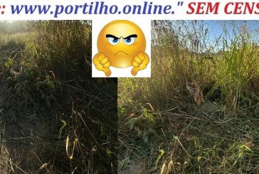 👉📢👍👏🤔🧐👀❓😠🤬😠💩🤮🤢Olá bom dia Portilho! Tudo bem?“Terreno da prefeitura aqui no bairro dona diva Alameda Pau Brasil Com Alameda das graviolas já foi solicitado a limpeza”