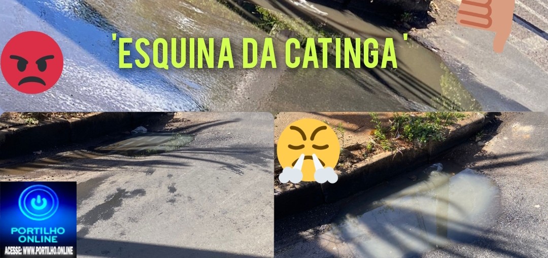 👉🧐💩🤢🤮💤🤧👺👿Esquina da Catingueira “🧐❔📢😡🧐Portilho, Já liguei na secretaria duas vezes, já teve vizinho que foi lá pessoalmente, e até hoje nada se resolveu