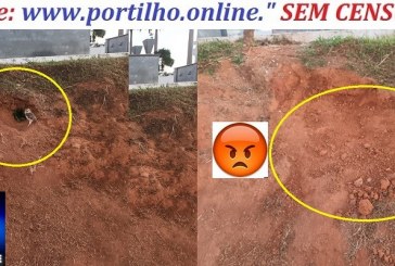 👉📢😡🤔🦉🦉🦉🦉🦉Portilho denuncia em sigilo: Zeladores do cemitério estão entupindo as moradias das corujinhas