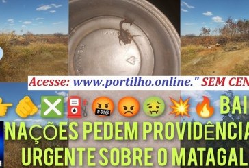 👉🫵❎⛽🤬😡🤢💥🔥🔥🔥MORADORES DO BAIRRO NAÇÕES PEDEM PROVIDÊNCIAS URGENTE SOBRE O MATAGAL