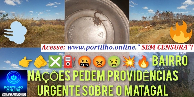 👉🫵❎⛽🤬😡🤢💥🔥🔥🔥MORADORES DO BAIRRO NAÇÕES PEDEM PROVIDÊNCIAS URGENTE SOBRE O MATAGAL