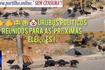 👉📢😳🤔😡🤧🤢🤮💩👿👹☠” Urubus políticos estimação e domesticados”!  boa tarde Portilho  voce poderia fazer uma materia pra nos ajudar?