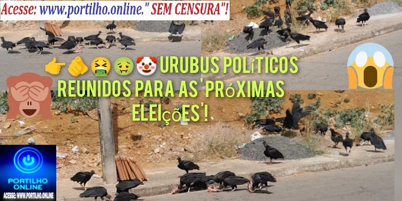 👉📢😳🤔😡🤧🤢🤮💩👿👹☠” Urubus políticos estimação e domesticados”!  boa tarde Portilho  voce poderia fazer uma materia pra nos ajudar?