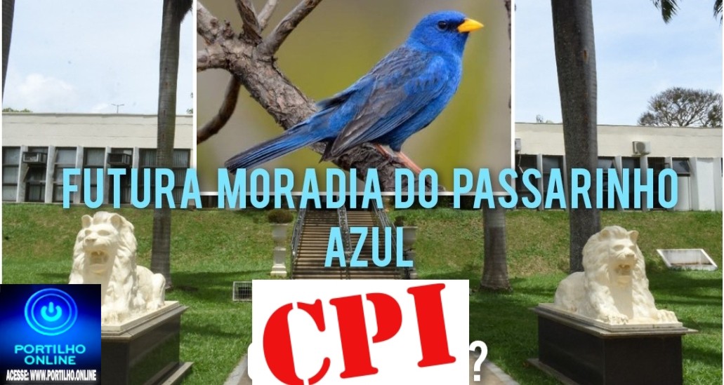 📢EXIGIMOS UMA 💸💰🤔❓🔎🕵CPI URGENTE!💰❓👿🐀💰🚔👀🚨Portilho, agora vc tem pegar em cima de ter uma CPI e ser o primeiro portal das notícias