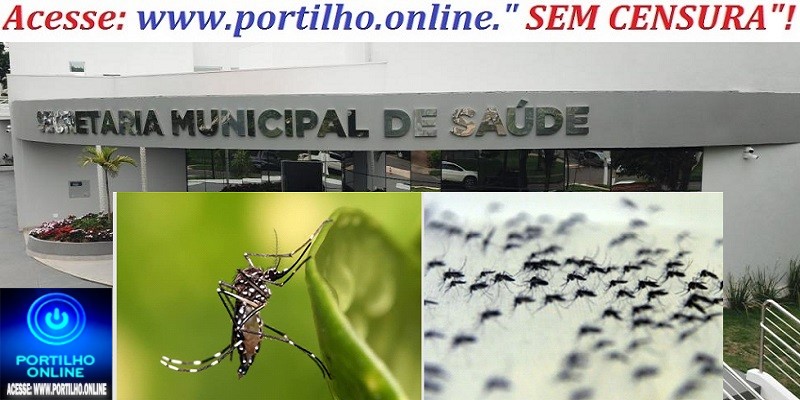 👉🏻😡😠⁉️💉🩺💊🦟🦟🦟🦟🦟🦟🦟Portilho, faça uma matéria sobre a proliferação do mosquito da dengue.