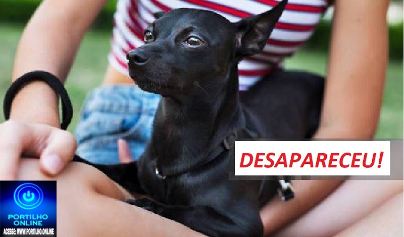 👉📢🔍🕵🔎🗣👀🐕🐩🐈Cãozinho Pinscher desaparecido no Bicão – condomínio