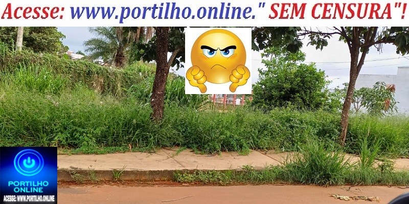 👉👎😡🤮📢🤔🗣🤝🐭😱Bom dia, Portilho. Ajuda ai. ( Nos fundo do finado  CIAAP – Centro de Integração e Apoio ao Adolescente) .