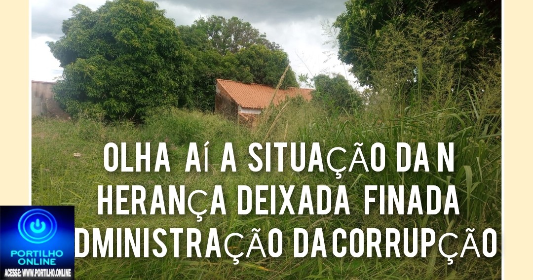 📢✍😱👊🚧🗣💩🤢🤮👿👎👊Portilho …Esse mato aí ó é aqui ó em frente o peuca q deró deixou