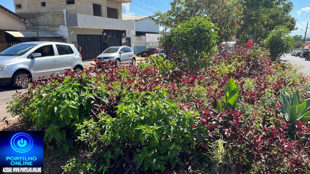 💵📢❓🗣Vegetação na Avenida JK com Rua Expedito Dias Coloca Motoristas em Risco Constante