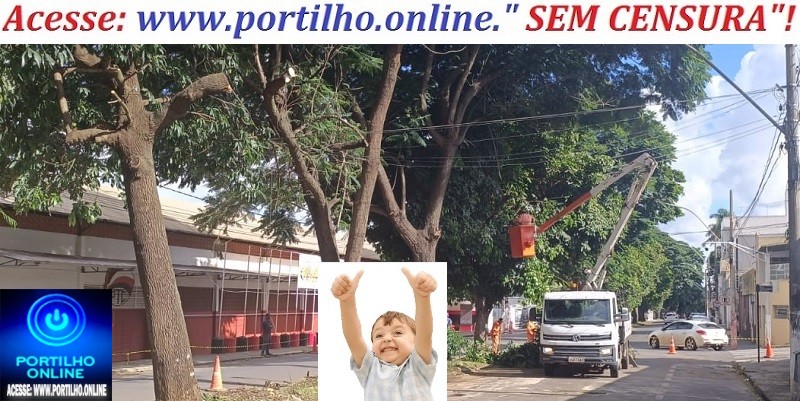 👉👍🙌👏📢🌳🌴🌲Podas das Árvores na Avenida José Maria de Alkimim Estão Sendo Realizadas