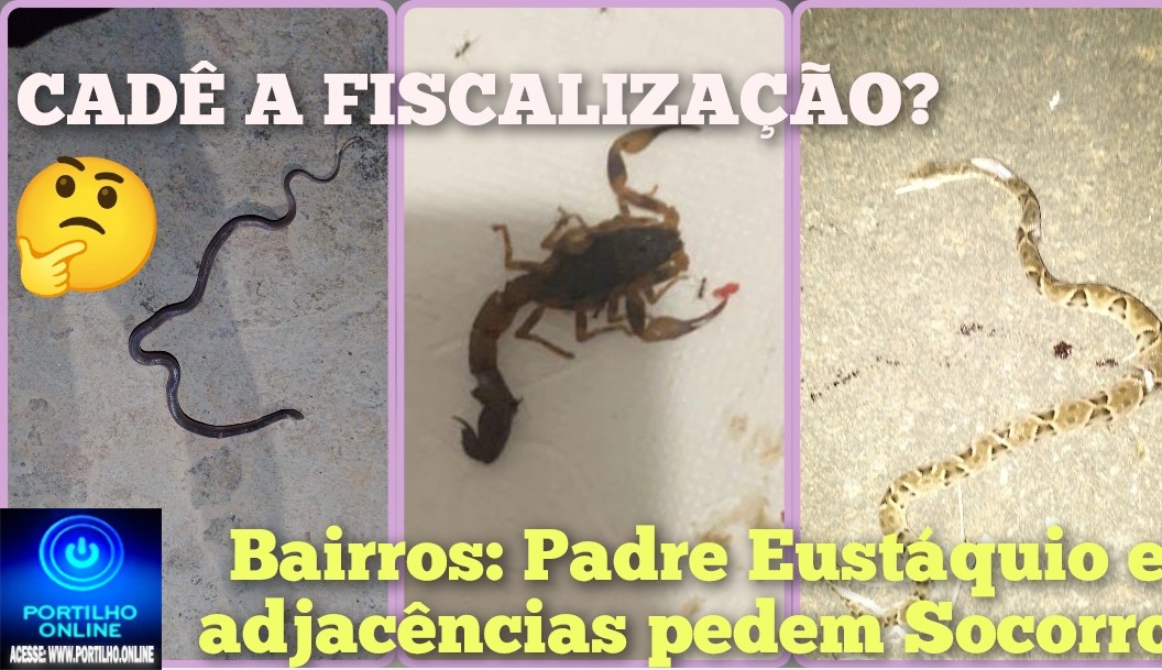 👉🏻🫣😠🫵🏻👎🏻Falta pulso!🕷️🦂Portilho: Oi boa tarde tudo bem? Portilho ajuda a gente aqui do bairro Padre Eustáquio.