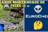 👉🏻💀☠️🐠🐟🤔😱😡 Boa tarde Portilho. A mineradora EUROCHEM provoca mortandade de milhares de peixes   na barragem do 🫧 SABÃO – 2🫧.