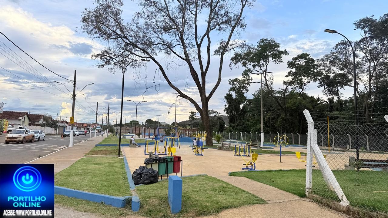 🫣🪓 ALERTA À POPULAÇÃO  Árvore seca pode cair em cima de frequentadores da pracinha da Matinha 