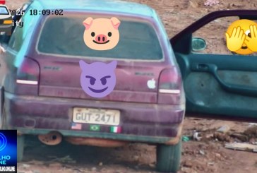 👉 👿 VOCÊ 🫵🗣🫵 CONHECE ESSE PORCÃO?🤢🤮😡👽💩👺👿🐖🐷🐽Você reconhece esses “porcões” que espalha lixo?