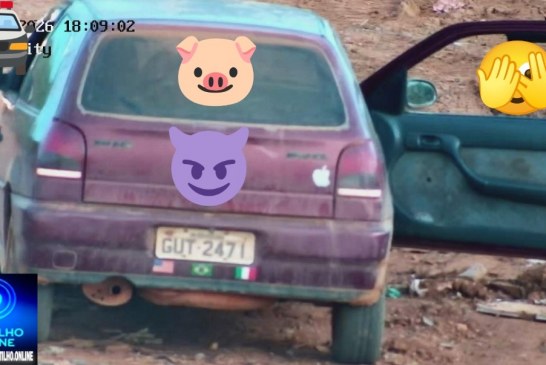 👉 👿 VOCÊ 🫵🗣🫵 CONHECE ESSE PORCÃO?🤢🤮😡👽💩👺👿🐖🐷🐽Você reconhece esses “porcões” que espalha lixo?