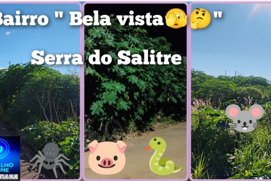 🫵🦟Serra do Salitre: Boa noite Serra do Salitre.