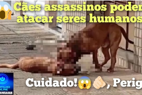 👉🏻🚨😱🫵🏻 Cães assassinos 😠☠️👺🚔🚑🚒Olá Portilho, uma situação grave que vem acontecendo no bairro Serra Negra