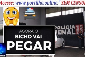 👉🏻🗣️😱🫣🚔🚨😶‍🌫️☠️😈👺O bicho vai pegar! “Ué Portilho cadê a galudona da Daniela mulher do pablo qui vive batendo nu peito”🫵🏻