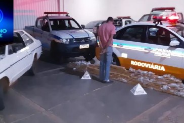 REGIONAIS!!! Polícia apreende quase 118 kg de maconha na MGC-497 em Campina Verde