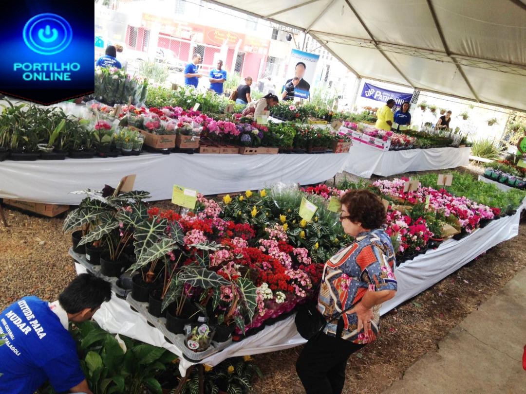 COMEÇA HOJE!!! Feira de flores de Holambra Desabrocha em julho   de  10 a 15 de Julho – Praça Santa Luzia – entrada Franca