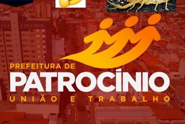 ESCORPIÃO PICOU!!! Nota Informativa: Infestação de Escorpiões