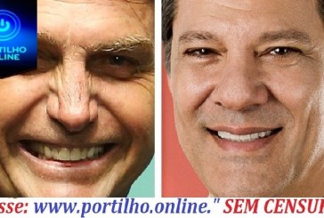 Bolsonaro x Haddad: projetos opostos têm agora 20 dias para disputar o voto do eleitor brasileiro