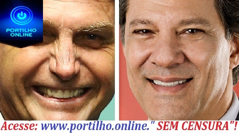 Bolsonaro x Haddad: projetos opostos têm agora 20 dias para disputar o voto do eleitor brasileiro