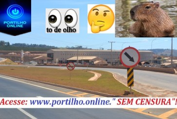 CASO DA CAPIVARA QUE FICOU PRESA NA REPRESA DA GALVANI/YARA