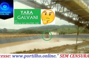MAIS UMA DA GALVANI/YARA. Agora foi um tamanduá bandeira que caiu nas represas sem proteção!!!