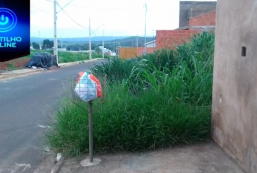 Bairro Belvedere!  Matagais avançam e crescem e moradores ficam apavorados!