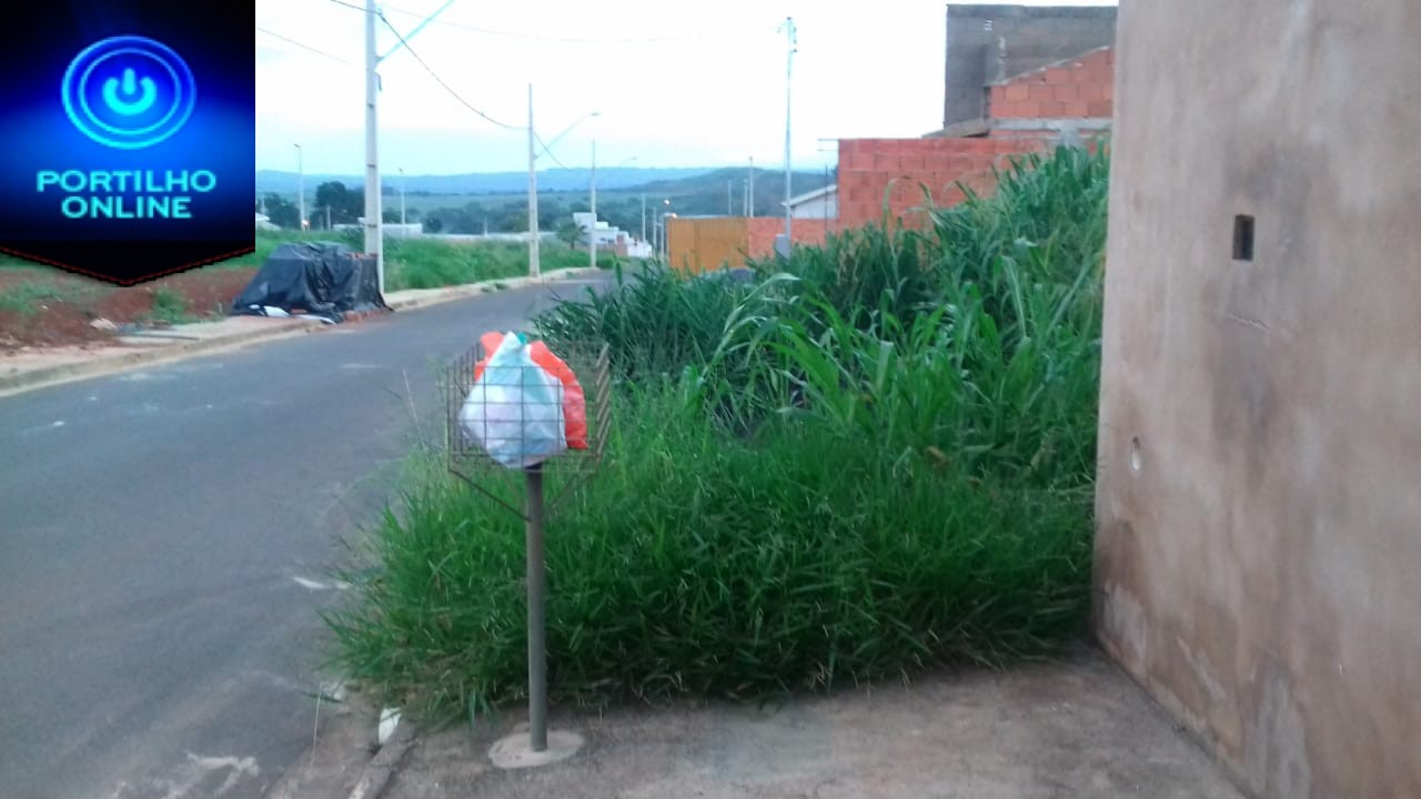 Bairro Belvedere!  Matagais avançam e crescem e moradores ficam apavorados!