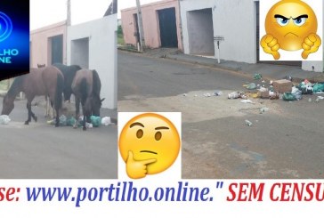 Olá Portilho São 6 cavalos e um filhote.