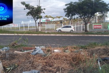 Vendedores amambulantes  de abacaxi emporcalham canteiro central enfrente o  Mart’Minas