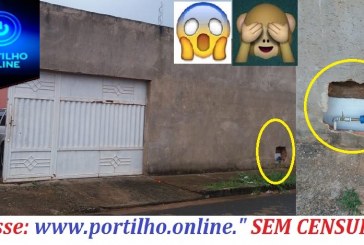 Ladrões arromba muro de residência até os cães foram roubados, imagina a ousadia??? Cadê a segurança???