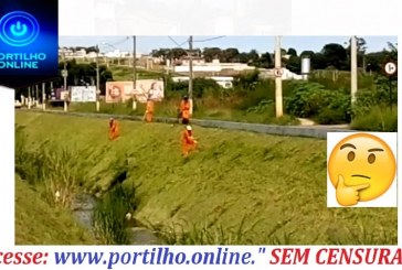 PARABÉNS PELA LIMPEZA DO “ REGO DO BETINHO”!