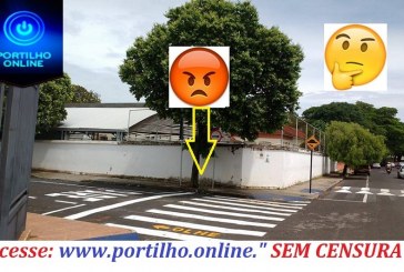 A SESTRAN tem acertado e muito na sinalização em toda a cidade, mais há controversas.