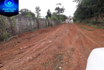  Equipe do PEZÃO que fazem as limpezas de lotes urbano de uma só vez, três reclamações atendida em só dia!