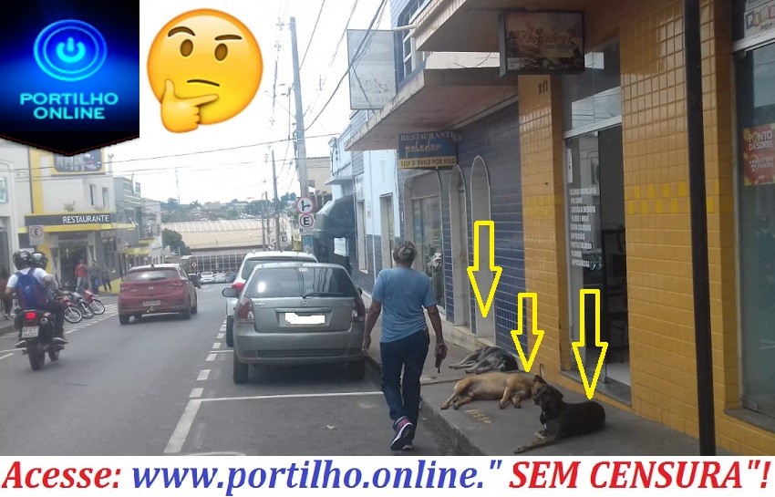 👉😱🙄🤔🐻🐶🐕🐩🐈 Bom dia Portilho… Tem três cachorros atacando as pessoas ali perto do inhac…