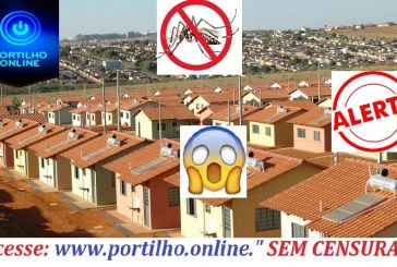  👉😱😳💉🌡 Portilho nós aqui do Jardim sul estamos doente! DENGUE! FEBRE! INFESTAÇÃO! DOR DE CABEÇA!