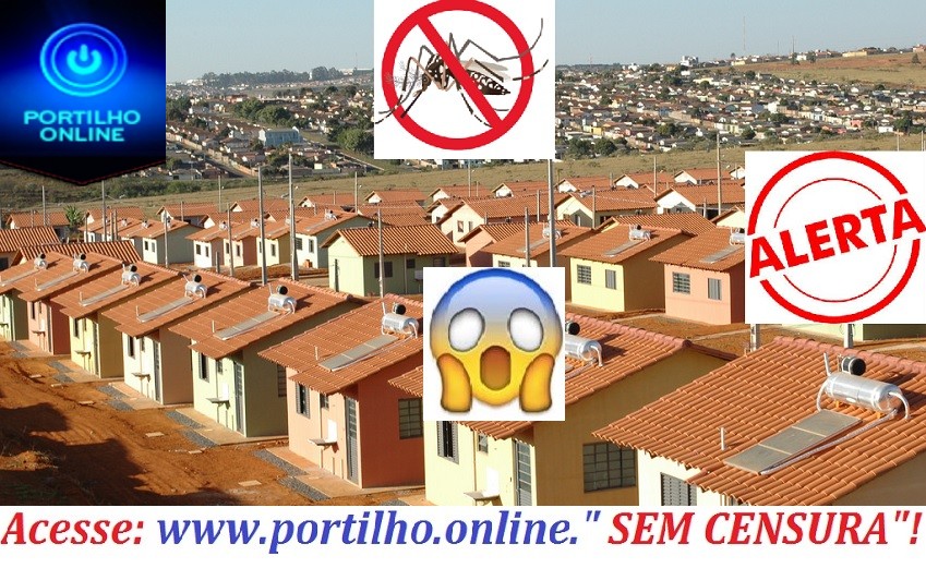  👉😱😳💉🌡 Portilho nós aqui do Jardim sul estamos doente! DENGUE! FEBRE! INFESTAÇÃO! DOR DE CABEÇA!