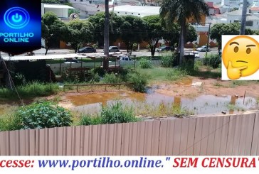 PRONTO SOCOROOO! Agua empossada pode gerar criadouro do mosquito da dengue “40 graus de febre”!